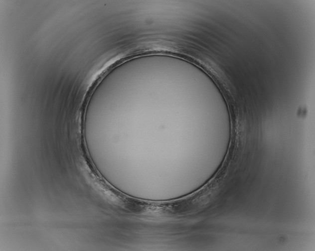 X0000110680790200906261320