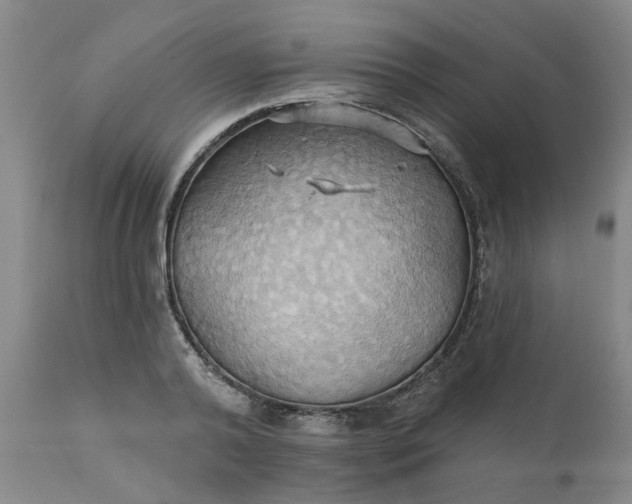 X0000110680792200906261320