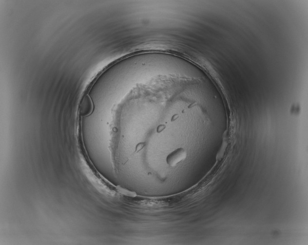 X0000110680795200906261320