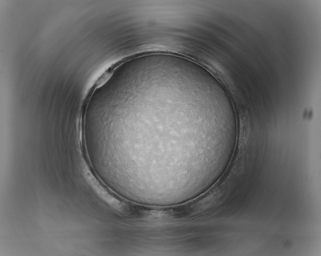 X0000110680796200906261320