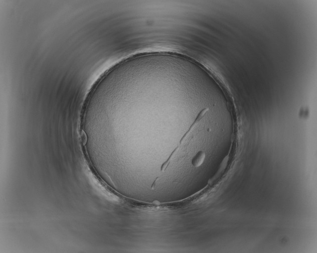 X0000110680797200906261320