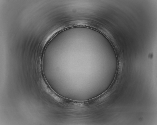 X0000110680798200906261320