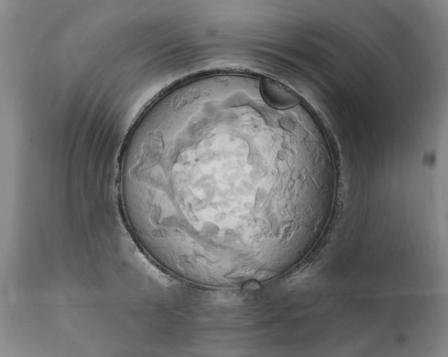 X0000110680799200906261320