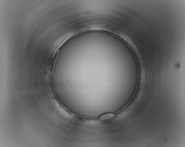 X0000110680801200906261320