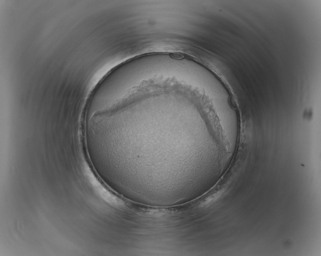 X0000110680803200906261320