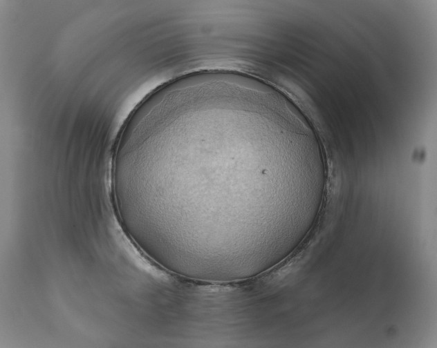 X0000110680804200906261320