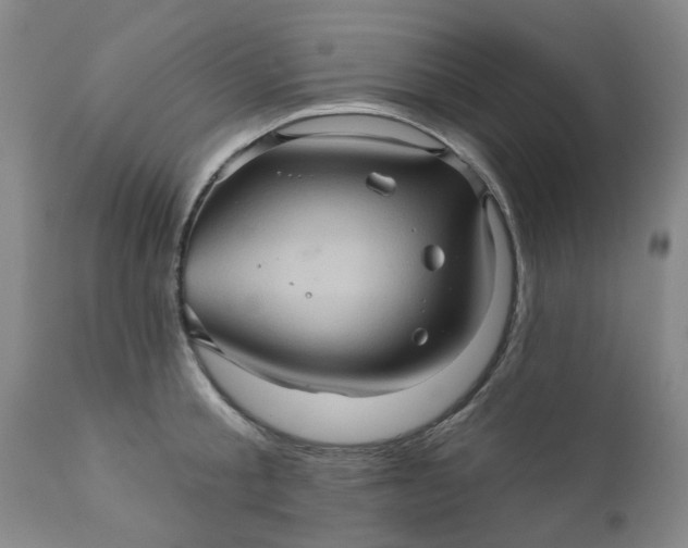 X0000110680805200906261319