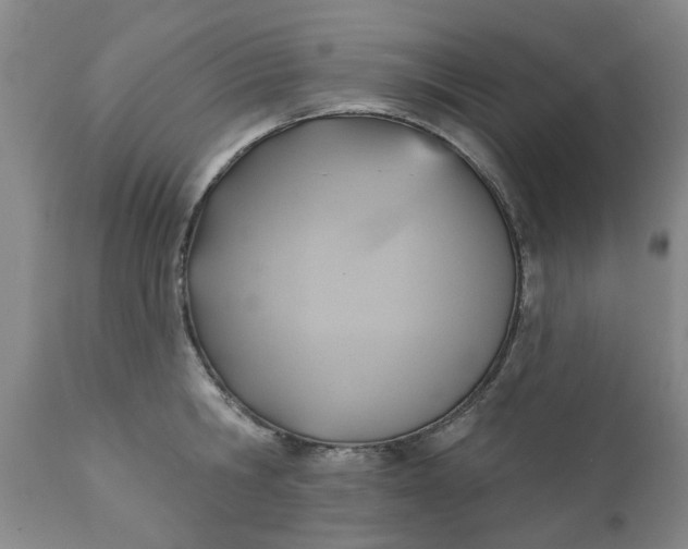 X0000110680806200906261319