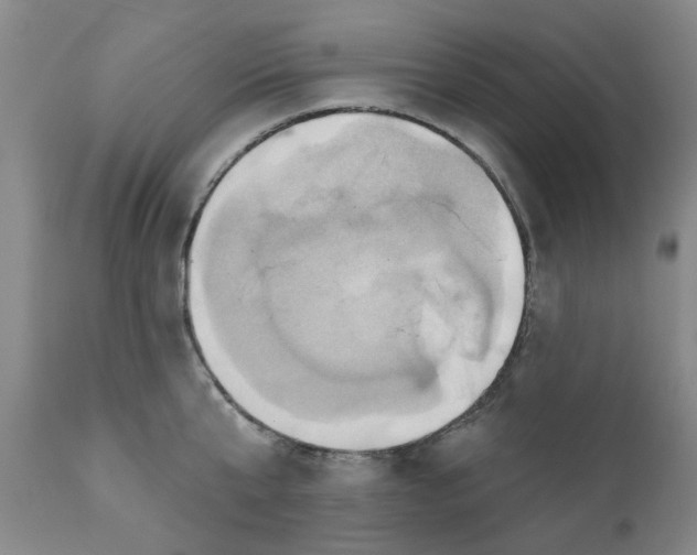 X0000110680807200906261319