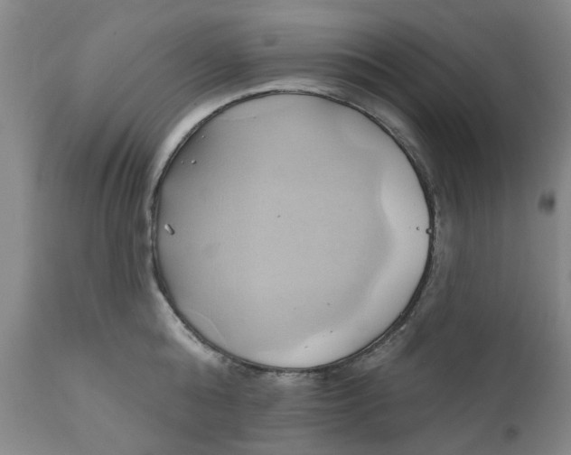 X0000110680808200906261319