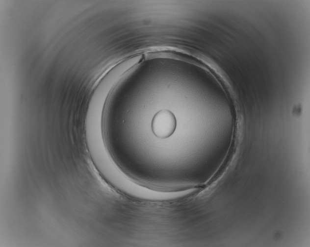 X0000110680809200906261319