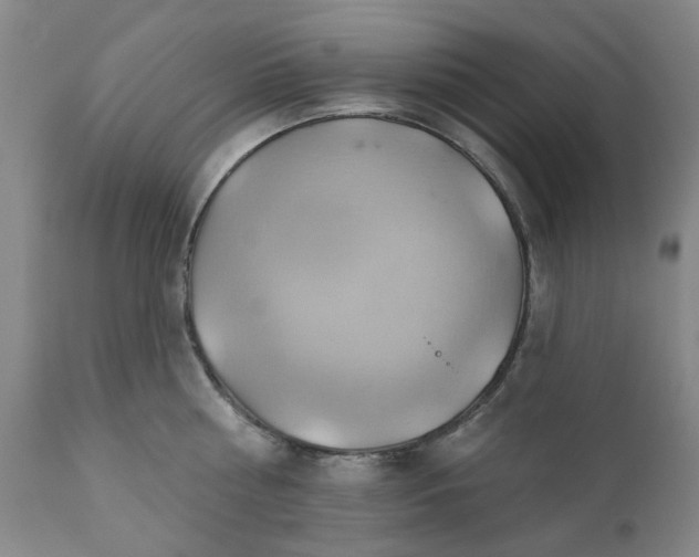 X0000110680810200906261319