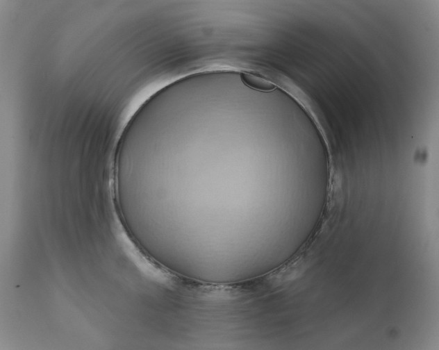 X0000110680811200906261319