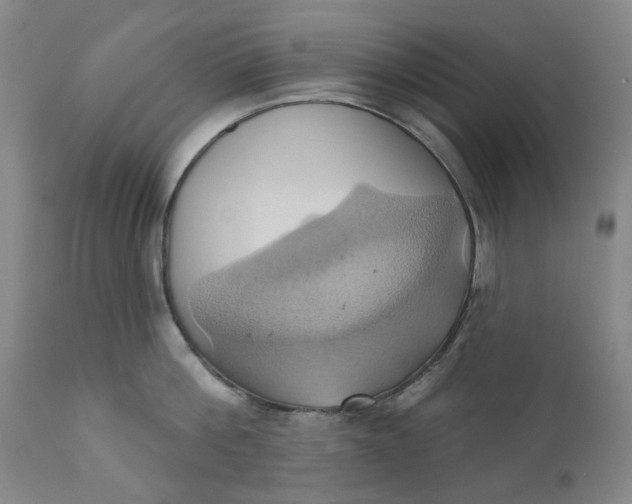 X0000110680812200906261319