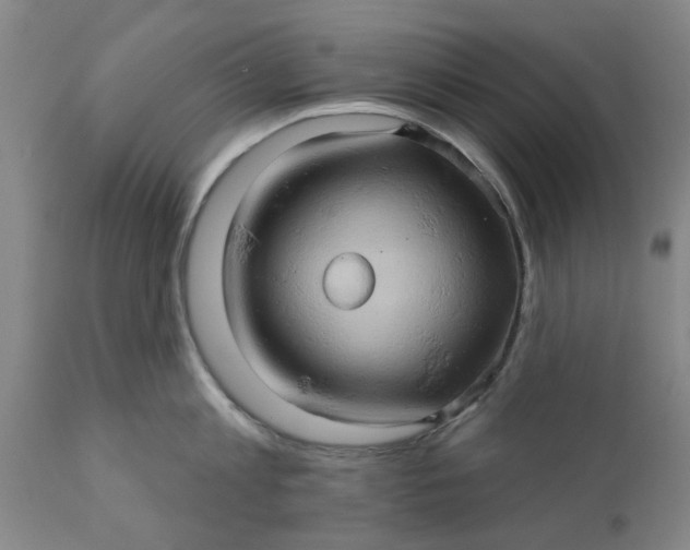 X0000110680813200906261319