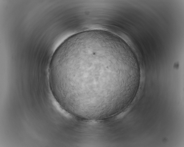 X0000110680814200906261319