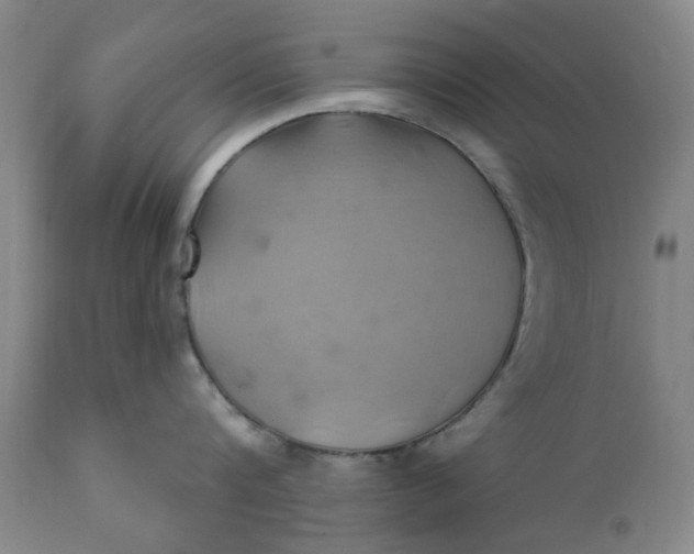 X0000110680816200906261319