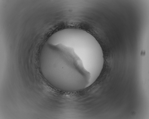 X0000110680817200906261319