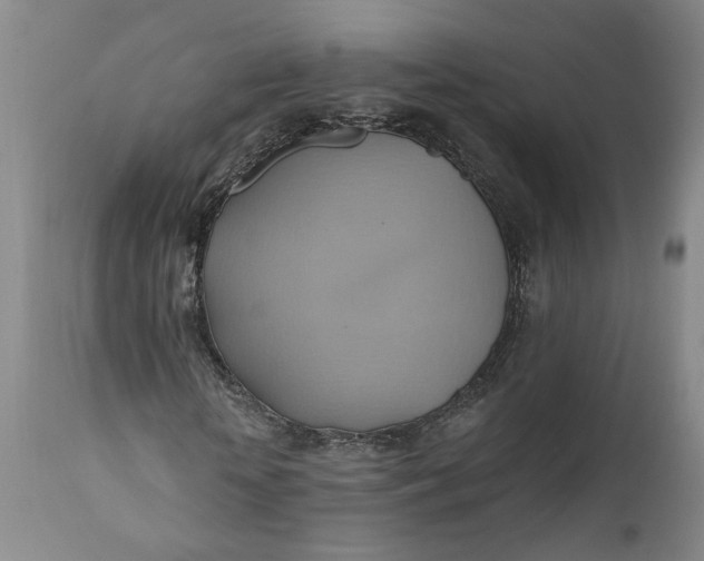 X0000110680818200906261319