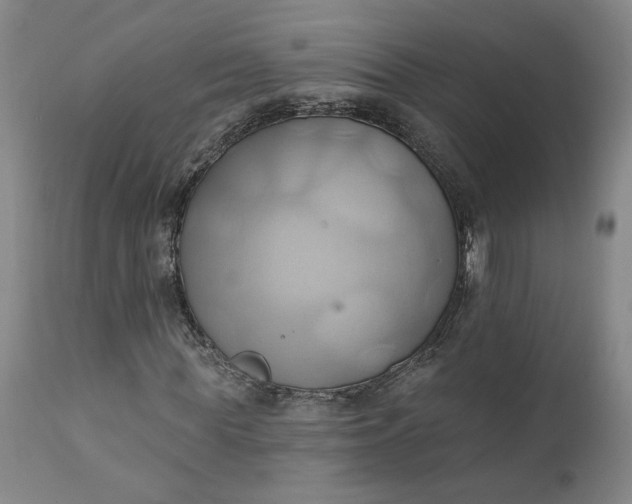 X0000110680819200906261319