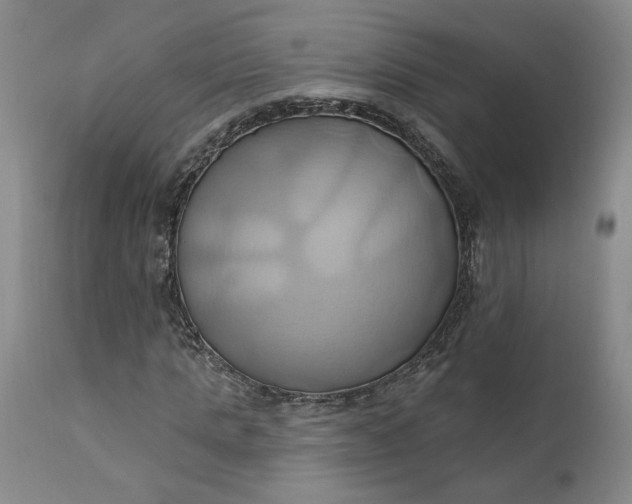 X0000110680821200906261319