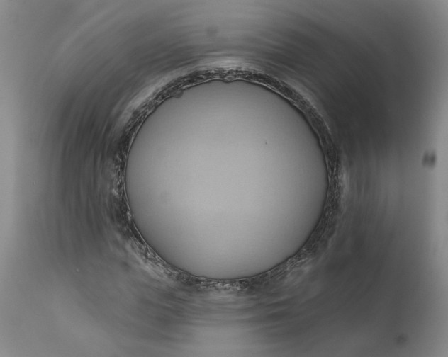 X0000110680823200906261319