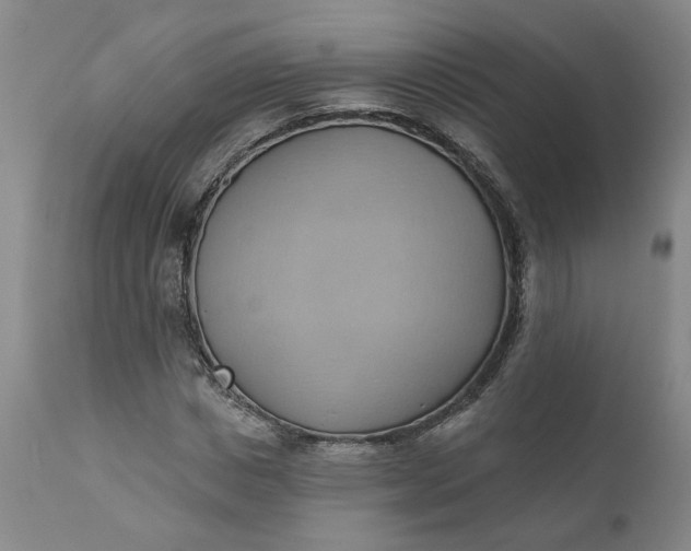 X0000110680825200906261319