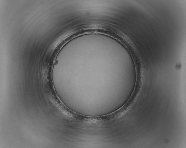 X0000110680826200906261319