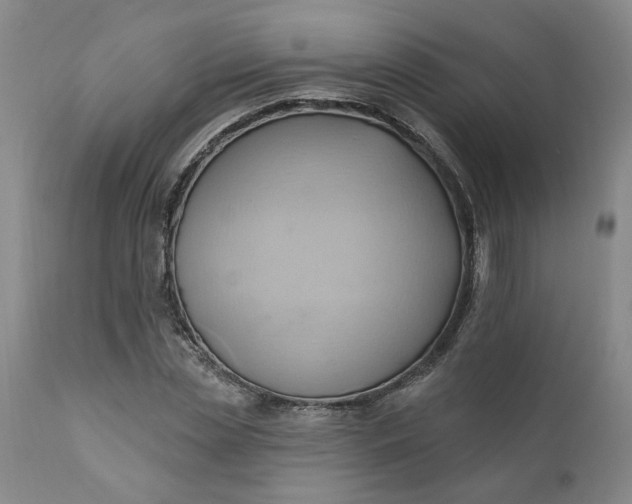 X0000110680829200906261319