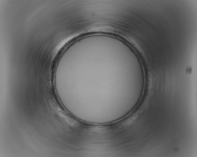 X0000110680830200906261319