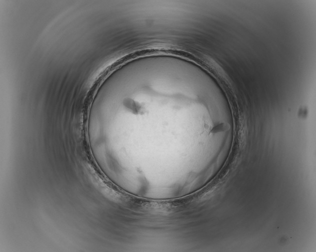 X0000110680831200906261319