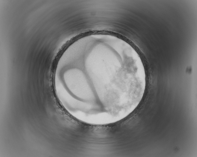 X0000110680832200906261319