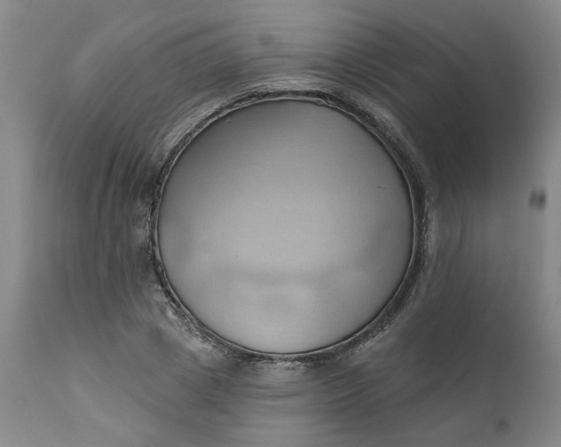 X0000110680833200906261319