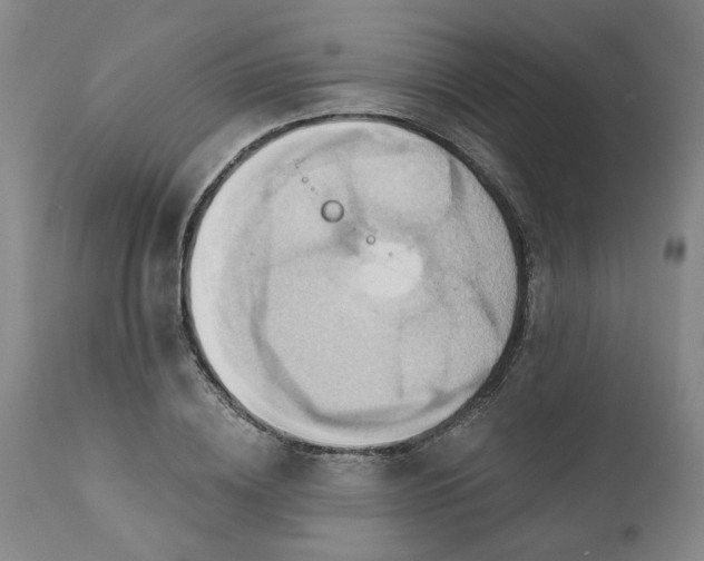 X0000110680836200906261319