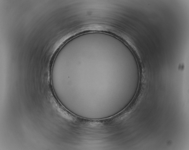 X0000110680837200906261319