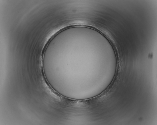 X0000110680839200906261319