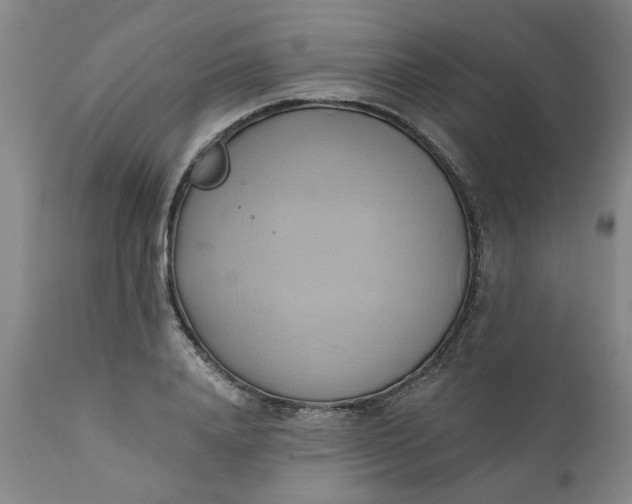 X0000110680840200906261319