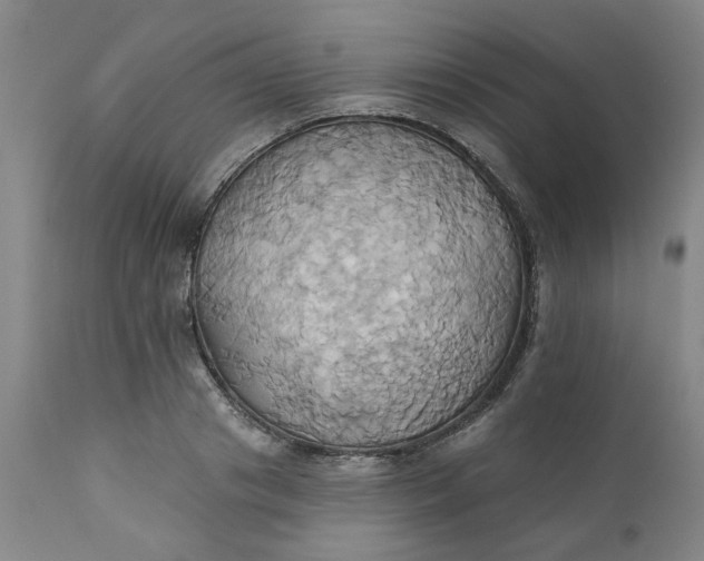 X0000110680841200906261319