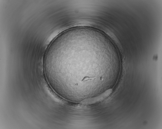 X0000110680842200906261319