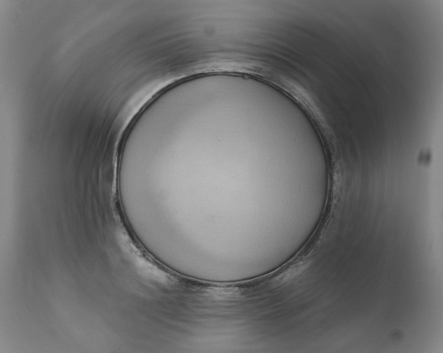 X0000110680844200906261319