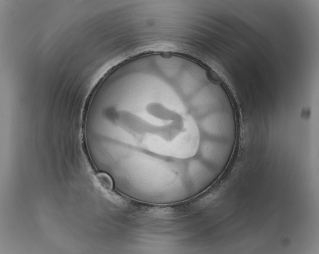 X0000110680845200906261319