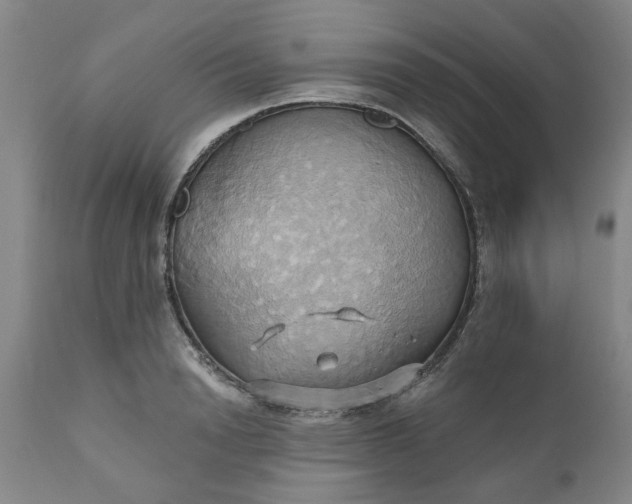 X0000110680846200906261319