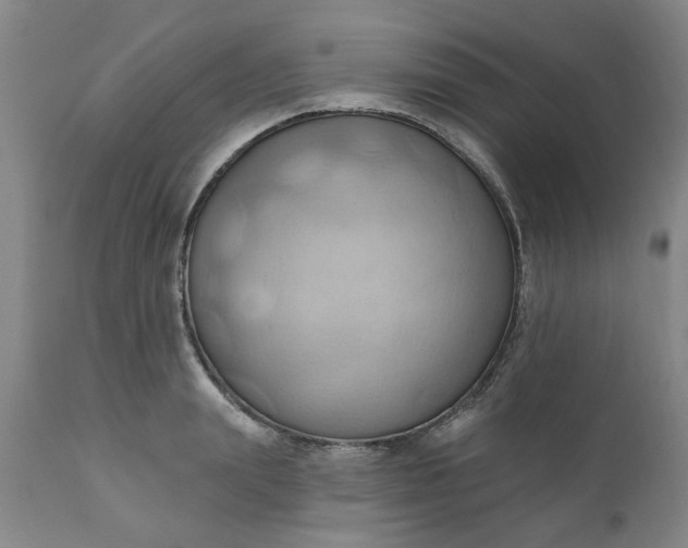 X0000110680847200906261319