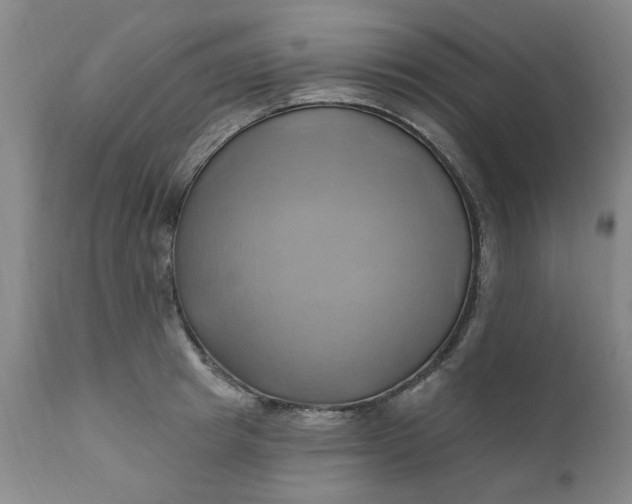 X0000110680849200906261319