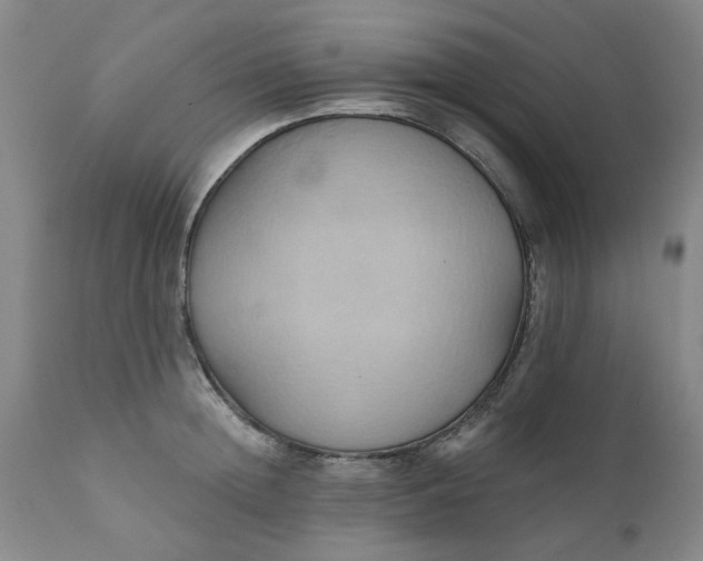 X0000110680852200906261319