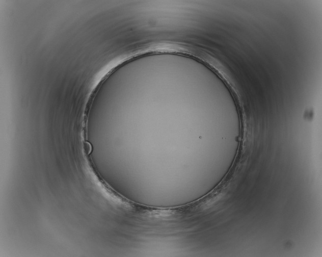 X0000110680853200906261319