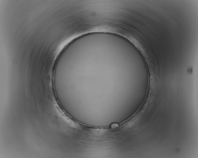 X0000110680854200906261319