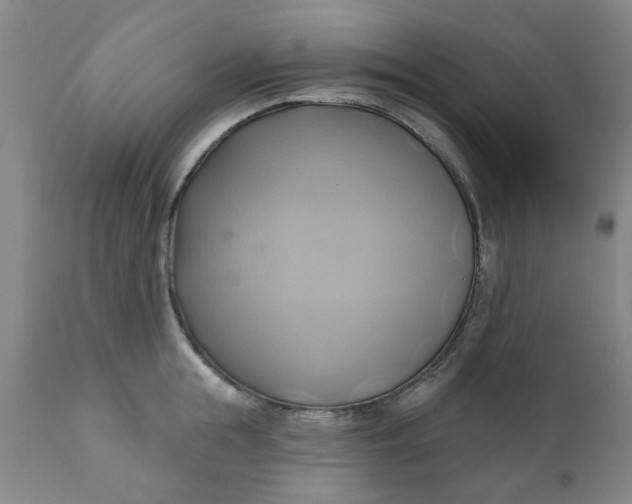 X0000110680855200906261319