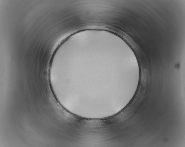 X0000110680856200906261319