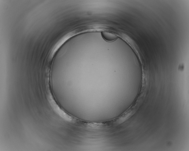 X0000110680859200906261319